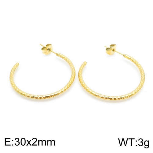 Stainless Steel Earring KE98619-6