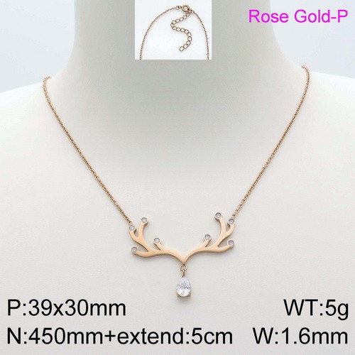 Stainless Steel Necklace KN112223