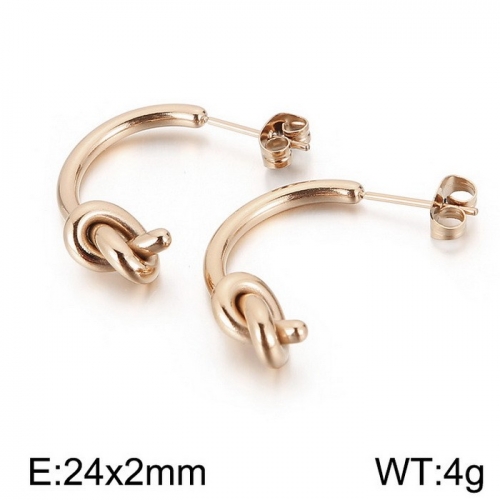 Stainless Steel Earring KE97017