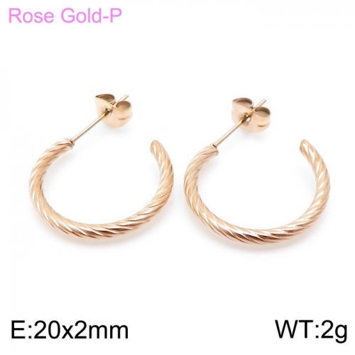 Stainless Steel Earring KE98662-6