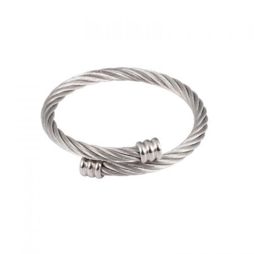 Stainless Steel Bangle YB5-8 (2)