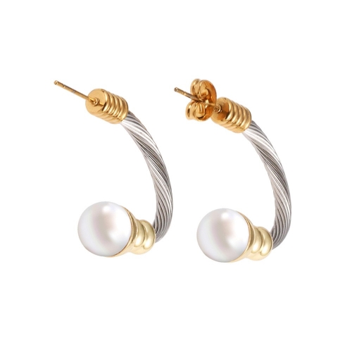 Stainless Steel Earring YE6-11 (1)