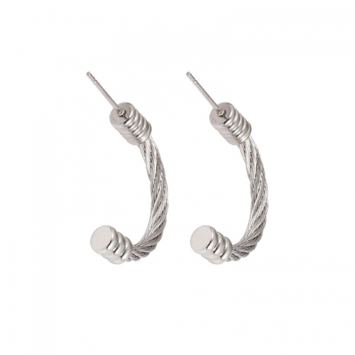 Stainless Steel Earring YE5-12 (1)