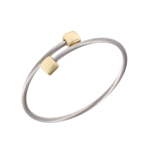 Stainless Steel Bangle YB888-75 (1)