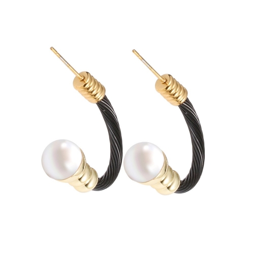 Stainless Steel Earring YE6-11 (2)