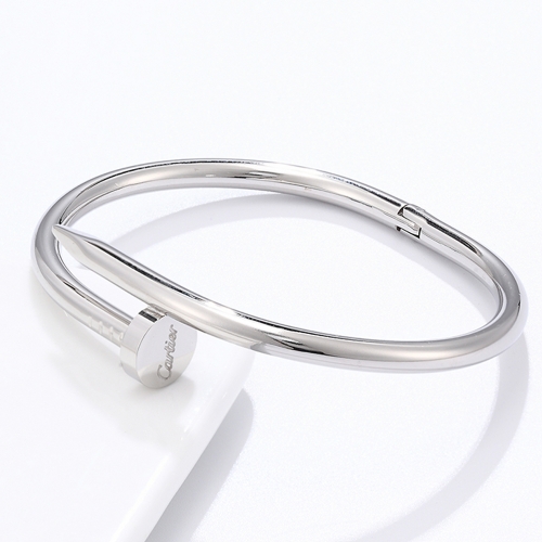 316 Stainless Steel Cartie*r Bangle LVB009 (1)