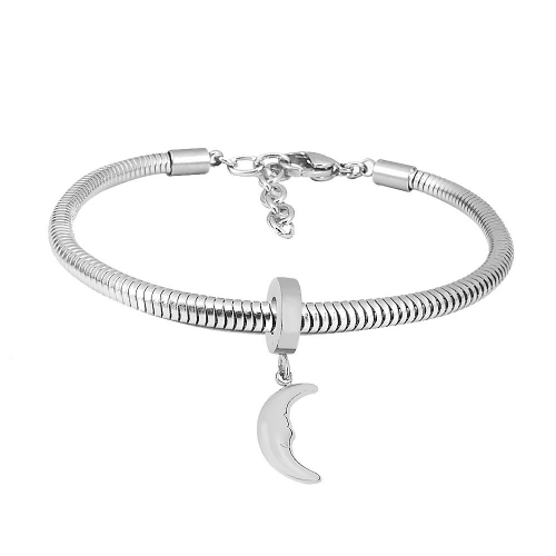 Stainless Steel Similar Pandor*a Bracelet TB046