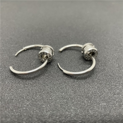 Stainless Steel Brand Earring ES-0717 (1)