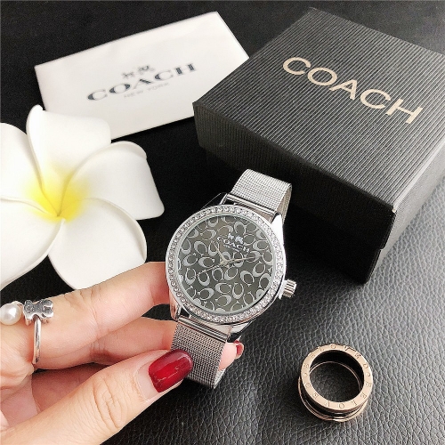 Steel Coac*h Watch CH2149CH-19 (3)