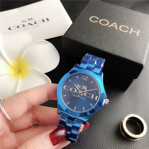 Steel Coac*h Watch CH6123CO-23 (5)