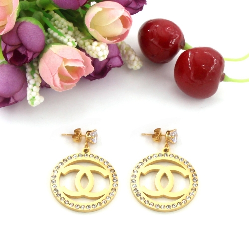 Stainless Steel Brand Earring HE7016 (1)