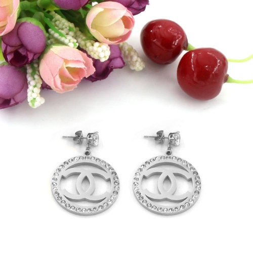 Stainless Steel Brand Earring HE7014 (2)