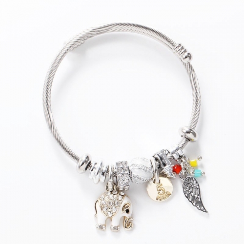 Stainless Steel Bracelet With Alloy Charms B001-12 (94)