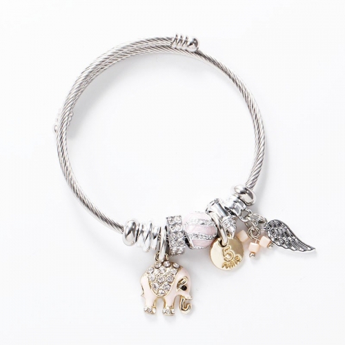 Stainless Steel Bracelet With Alloy Charms B001-12 (50)