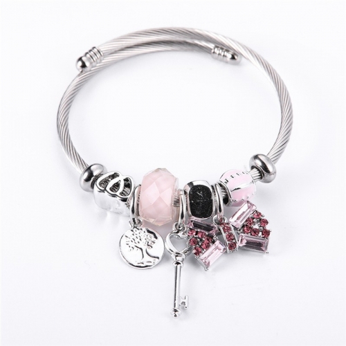 Stainless Steel Bracelet With Alloy Charms B001-12 (38)