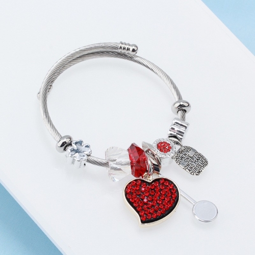 Stainless Steel Bracelet With Alloy Charms B001-12 (31)