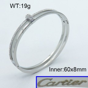 Stainless Steel Bangle PZ0135540vhmv-008