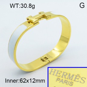 Stainless Steel Bangle PZ0135455aivb-008