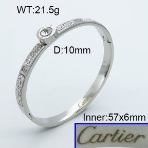 Stainless Steel Bangle PZ0135543vhov-008