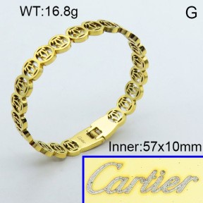 Stainless Steel Bangle PZ0135562vhnv-008