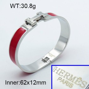 Stainless Steel Bangle PZ0135454vhov-008