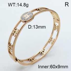 Stainless Steel Bangle PZ0135411vhov-008