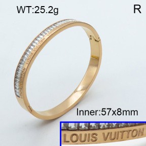 Stainless Steel Bangle PZ0135490aivb-008