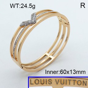 Stainless Steel Bangle PZ0135488aivb-008