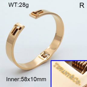 Stainless Steel Bangle PZ0135571vhov-008