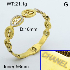 Stainless Steel Bangle PZ0135413vhov-008