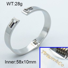 Stainless Steel Bangle PZ0135572vhmv-008