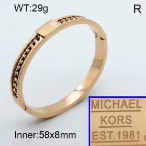 Stainless Steel Bangle PZ0135533vhov-008