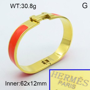 Stainless Steel Bangle PZ0135458aivb-008