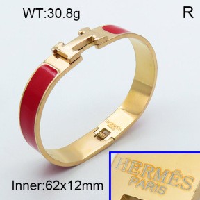 Stainless Steel Bangle PZ0135453aivb-008