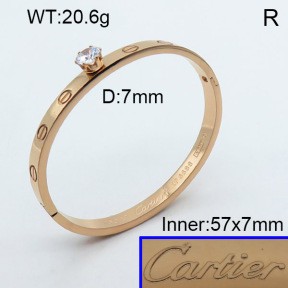 Stainless Steel Bangle PZ0135545ahlv-008