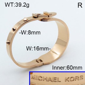 Stainless Steel Bangle PZ0135530biib-008