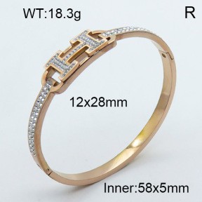 Stainless Steel Bangle PZ0135465vihb-008