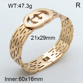 Stainless Steel Bangle PZ0135437aija-008