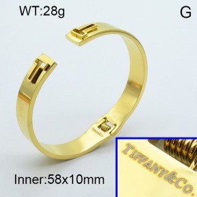 Stainless Steel Bangle PZ0135570vhov-008