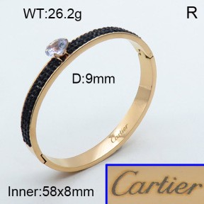 Stainless Steel Bangle PZ0135551ahpv-008