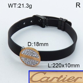 Stainless Steel Bangle PZ0135569ahlv-008