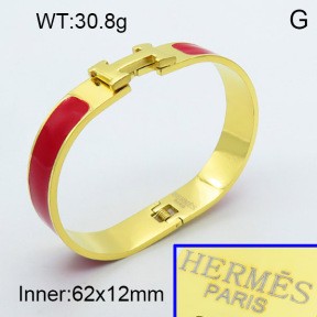 Stainless Steel Bangle PZ0135452aivb-008