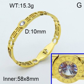 Stainless Steel Bangle PZ0135408vhov-008