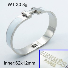 Stainless Steel Bangle PZ0135457vhov-008