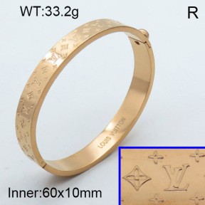 Stainless Steel Bangle PZ0135508vhnv-008