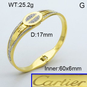 Stainless Steel Bangle PZ0135556aija-008