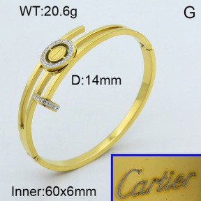 Stainless Steel Bangle PZ0135559ahpv-008