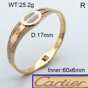 Stainless Steel Bangle PZ0135557aija-008