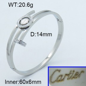 Stainless Steel Bangle PZ0135561vhnv-008