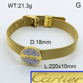 Stainless Steel Bangle PZ0135565ahlv-008